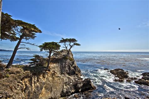 Asisbiz The Lonely Cypress Tree 17 Mile Drive Monterey California July