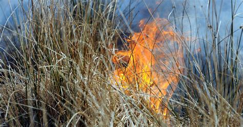 Warning Issued After Crews Called To Three Dry Grass Fires In An Hour