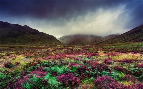 Download Wallpapers Cloudy Weather Fog Flower Field Mountains