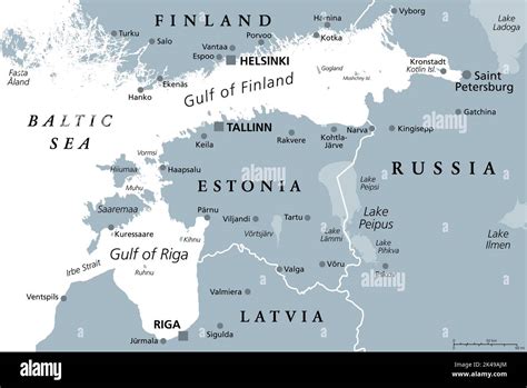 Golfo De Finlandia Y Región Del Golfo De Riga Mapa Político Gris