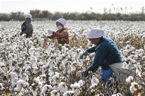 H&m is your shopping destination for fashion, home, kids' clothes plus beauty products. 你身上的棉製衣服，可能出自維吾爾奴工之手？Uniqlo、無印良品疑採用新疆棉花惹議-風傳媒