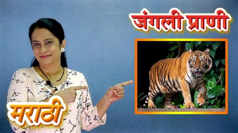 Wild Animal Names With Pictures And Spellings In Marathi Learn