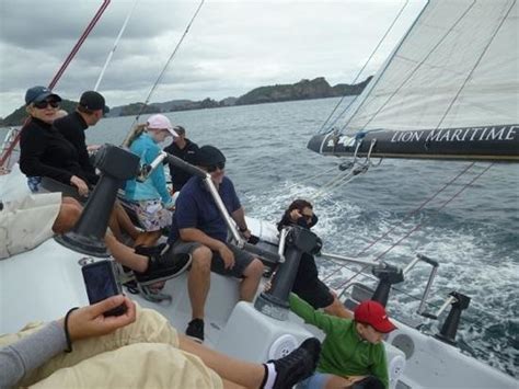 Explore Sail Lion New Zealand Paihia All You Need To Know Before