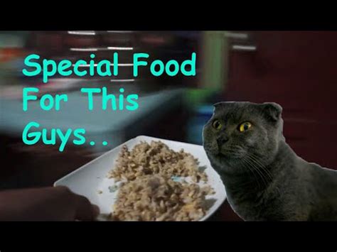 Maybe you would like to learn more about one of these? How To Make Easy Homemade Cat Food With Simple Recipes ...