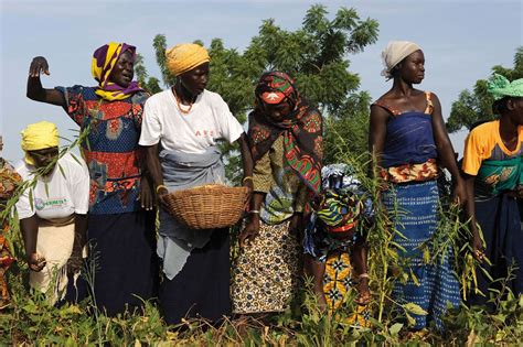 Foto Zu Burkinabè Bounty Bild 2 Auf 2 Filmstartsde