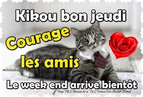 Kikou Bon Jeudi Courage Les Amis Le Week End Arrive Bientôt Jeudi