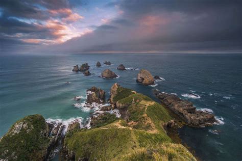 Things To Do In The Catlins Southland New Zealand Times Of India Travel
