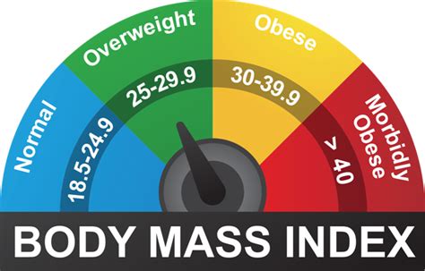What Is Body Mass Index Bmi