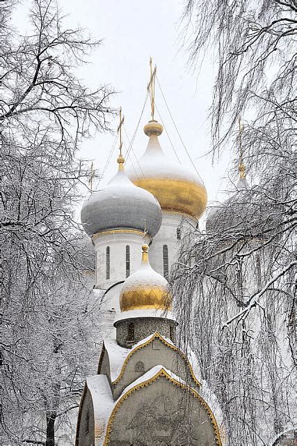 Snow Covered Church Cupolas Of Novodevichy Framed By Trees Artlook