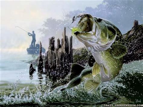 Bass Fishing Wallpaper Backgrounds Wallpapersafari