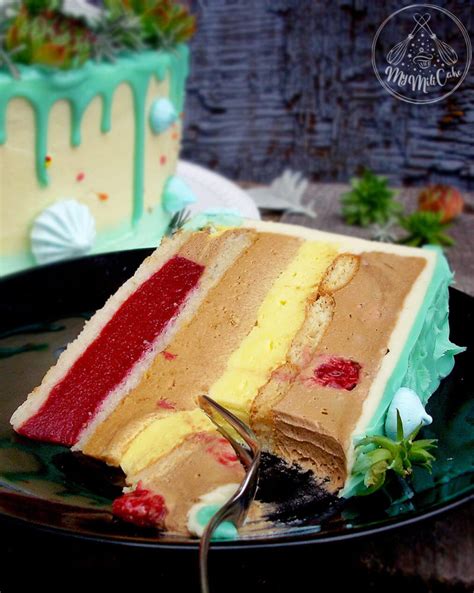 Torta Sa Malinama I Plazma Keksom My Mili Cake Torte
