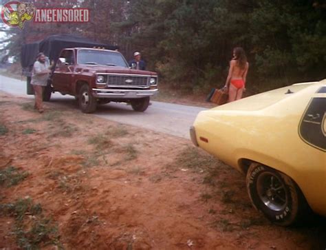 Catherine Bach Nue Dans The Dukes Of Hazzard