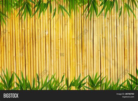 Light Golden Bamboo Image And Photo Free Trial Bigstock