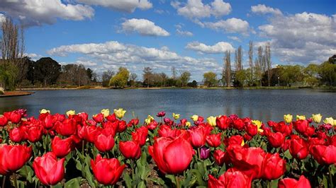 Your Guide To Floriade 2015 All You Need To Know Abc Canberra