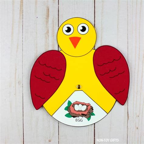 Bird Life Cycle Interactive Craft And Activity Non Toy Ts