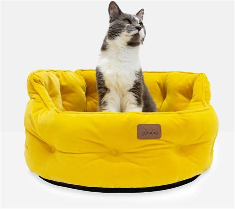 Best Cat Bed 2023 Pets Take A Break