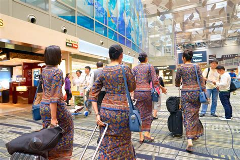 how to be a singapore airlines cabin crew cabin photos collections