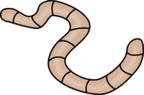 Worm Clipart Earthworm Picture 166705 Worm Clipart Earthworm Clear