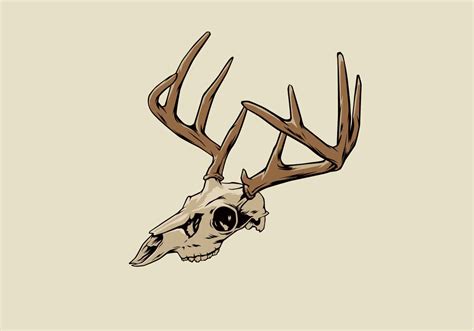 Deer Skull Vector Art Icons And Graphics For Free Download