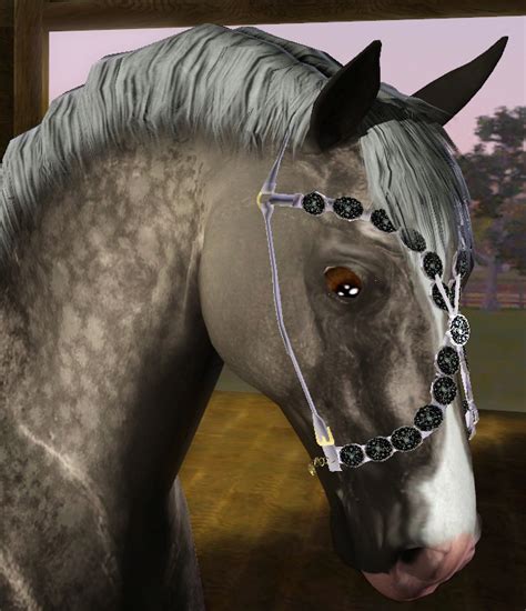 Sims 3 Horse Ranch Downloads Downloads