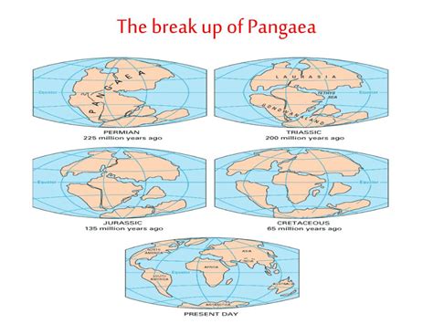 Ppt Plate Tectonics Powerpoint Presentation Free Download Id7096412