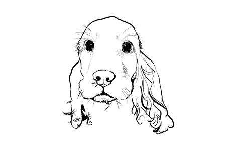 O que não faltam são cachorrinhos em desenhos animados. Cachorro De Raça bonitos ~ Desenhos preto e branco para ...