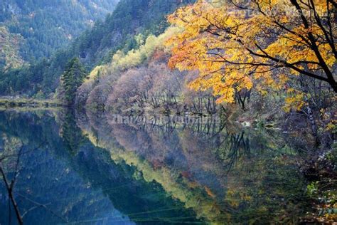 Jiuzhaigou Mirror Lake Autumn