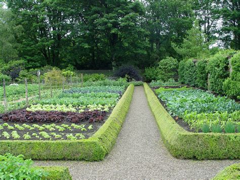 44 Famous Beautiful Vegetable Garden Mold Garden