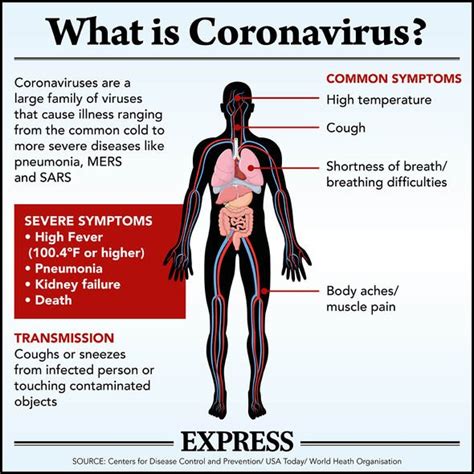 Coronavirus Symptoms Mild Signs Of Covid 19 Infection Include Sore