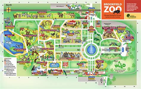 Chicago Zoological Society Zoo Map Zoo Map Brookfield Zoo
