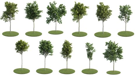 Trees Pack 3d Obj