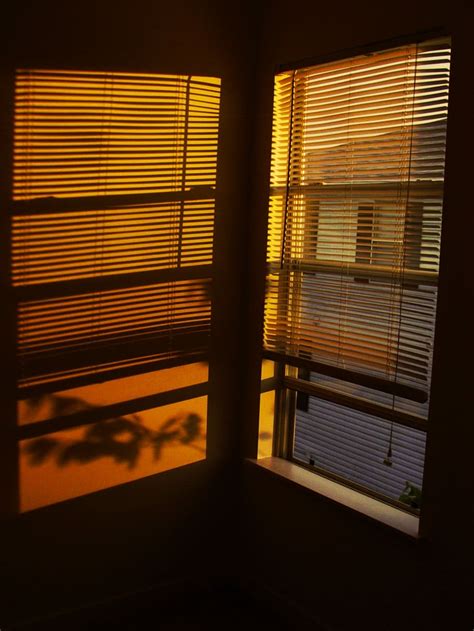 Hd Wallpaper Sunset Window Sunlight View Window View Warm