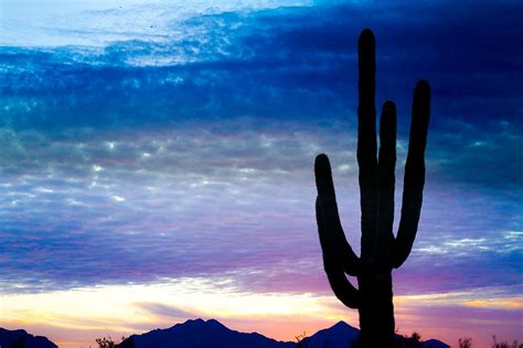Colorful Southwest Desert Sunrise Photograph By James Bo Insogna Fine