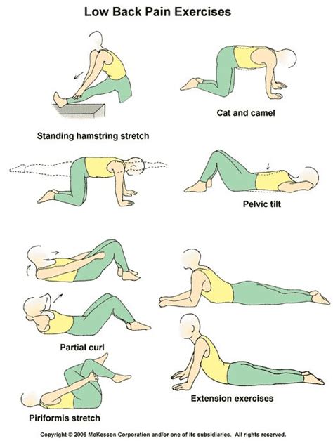 24 Best Physical Therapy Exercises For Lower Back Images On Pinterest