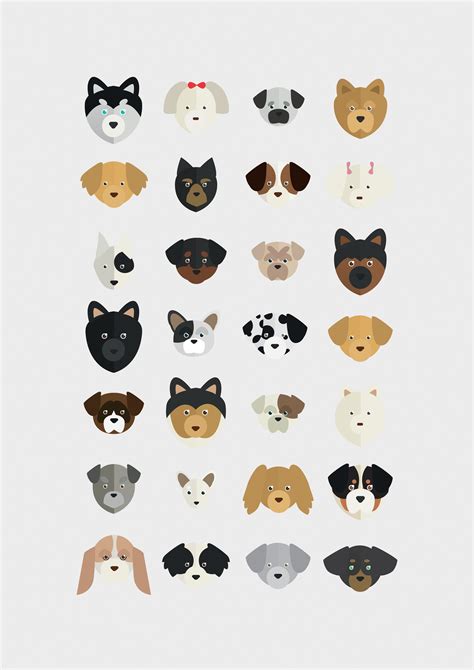 Infographics About Dogs Evolution Dog Illustration Dog Drawing Dog