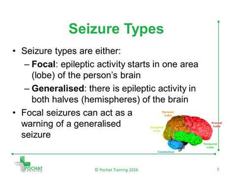 Focal Seizures Are Caused By Different Areas Lobes Of The Brain