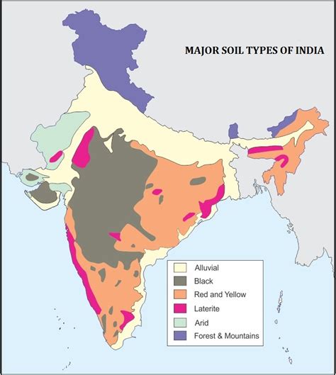 Major Soil Types In India Is Shown In The Map With Forest And Mountain