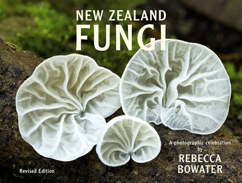 New Zealand Fungi Revised Edition The Copypress