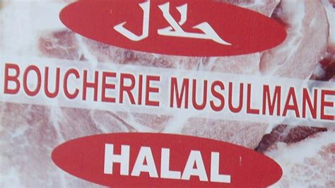 Terminology of halal vs haram