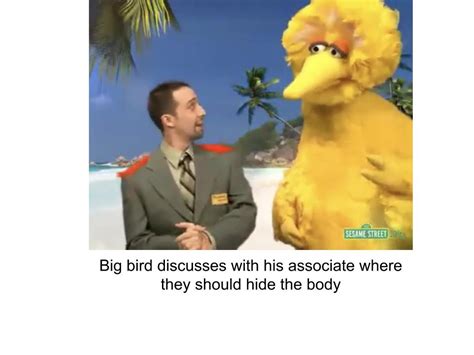 My First Post 0 Rbigbirdmemes