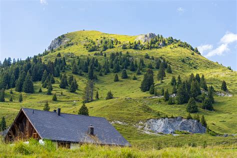 Switzerland Scenery Mountains Houses Fir Grass Jakobshorn Davos