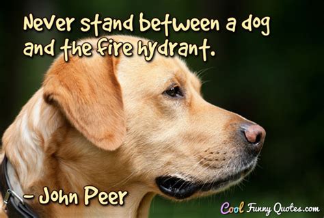 Dog Quotes Cool Funny Quotes