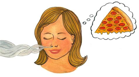 Some of the more common symptoms of a brain tumor in children include: How do we smell things? - Queensland Brain Institute ...