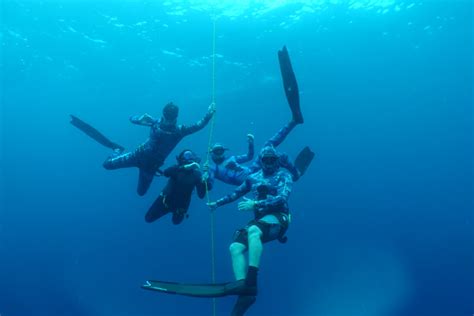 Photo Gallery Freedive305 Freediving In Miami