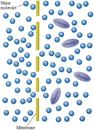 Learning by Osmosis - Pontefract Group