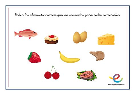 Ficha De Alimentos Riset