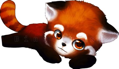 Red Panda Png Transparent Images Png All