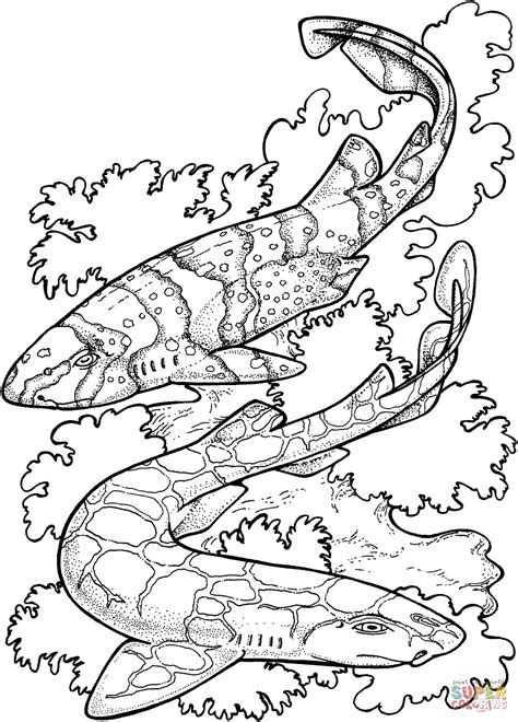 Zebra Sharks Coloring Page Free Printable Coloring Pages