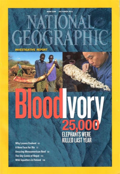 Blood Ivory Why Elephants Are Being Killed To Make Religious