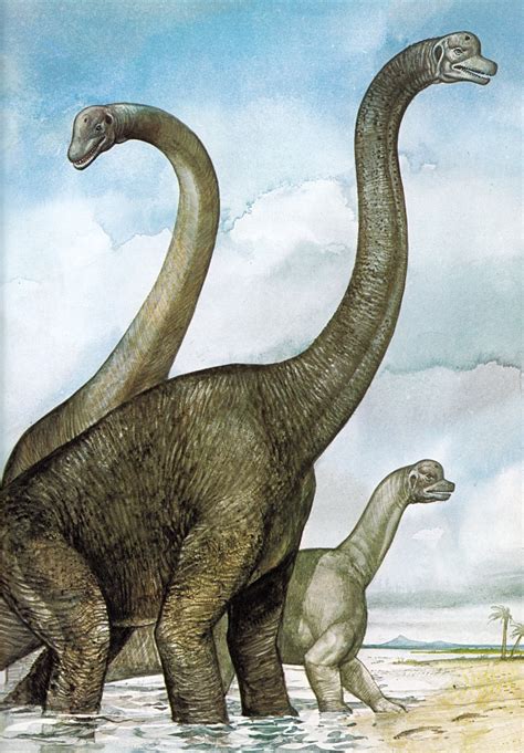 Vintage Dinosaur Art A Natural History Of Dinosaurs Part 2 Love In